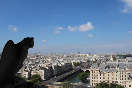 15 Things to do in Paris, France