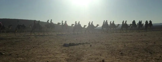 Welcome to the Negev Desert